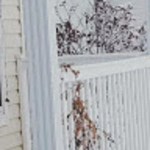 Meet your Posher, Ronnie